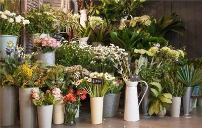 Nutsonly花店加盟 盈利前景、費(fèi)用條件與經(jīng)營指南