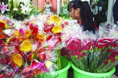 教師節鮮花熱賣 禮品花卉銷售熱潮中的情感與商機